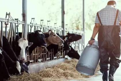 Sector lechero demanda incrementar el precio del litro de leche en un 30%