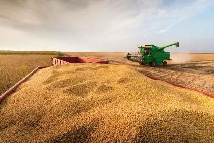 Soyeros: Se pierden oportunidades ante trabas burocráticas para exportar la cosecha de verano