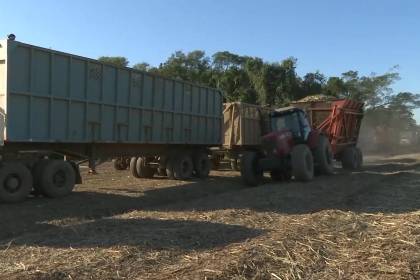 Zafra arranca con déficit de combustible y cañeros piden 70 millones de litros de diésel
