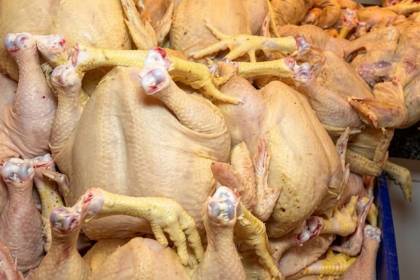Baja el precio del pollo en Santa Cruz, ¿a cuánto se comercializa en los mercados?