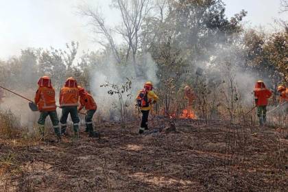 Municipios de Santa Cruz en emergencia por incendios y movilizan a 76 personas