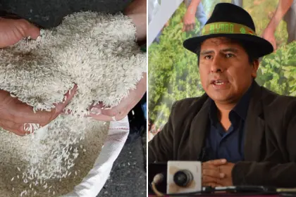Viceministro evita responder por arroz de mala calidad importado por el Gobierno