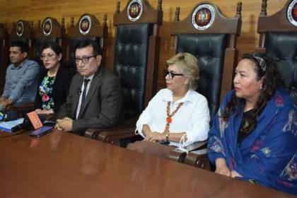 “Solo en pasajes y viáticos ‘prorrogados’ gastaron Bs 4 millones este año”, denuncia presidenta del TCP