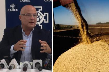 Cadex: Veto a la exportación de soya es una medida “extorsiva” del “modelo intervencionista” del Gobierno