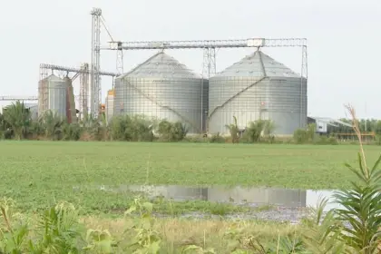 Productores de soya y arroz se reúnen el lunes para definir medidas por la falta de diésel, según dirigente