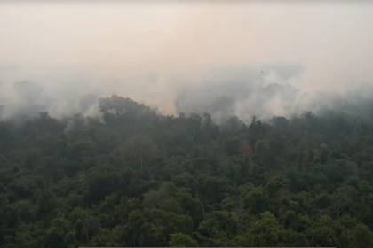 El fuego avanza en el Bajo Paraguá y amenaza el plan de manejo del asaí del que dependen 150 familias