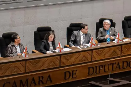 Diputados rechazan la dispensación de trámite para tratar el proyecto que busca abrogar la ley conversión de tierras
