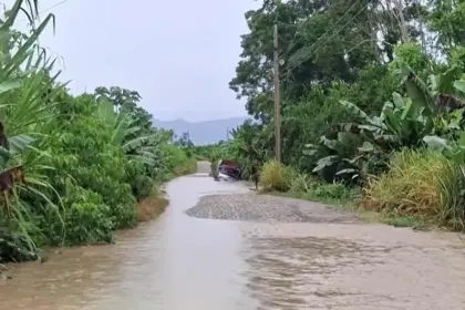 Más de 600 familias y 4.500 hectáreas de dos municipios del trópico están afectados por inundaciones