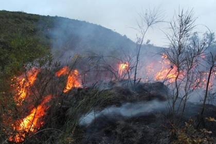 INRA confirma avasallamientos en reserva Bajo Paraguá y diputada dice que en la zona se dieron incendios provocados