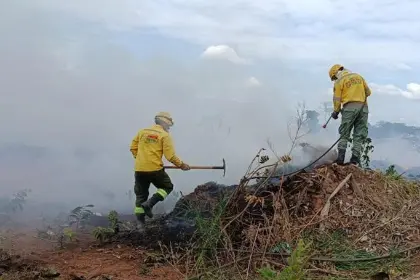 Pese a las lluvias, aún persisten seis incendios forestales en Santa Cruz