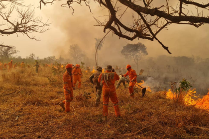 Los incendios forestales ya arrasaron con 9,8 millones de hectáreas en Bolivia, reporta el INRA