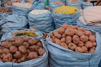 Productores de los Valles cruceños denuncian contrabando de papa peruana