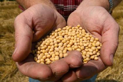 Gobierno abroga decreto que fijaba arancel cero para la importación de grano de soya