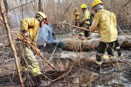 Pese a la lluvia, el fuego persiste en Santa Cruz: reportan ocho incendios forestales y más de 146.000 hectáreas afectadas