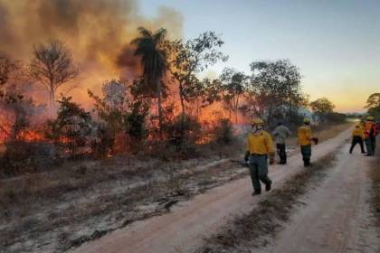 Senado aprueba la abrogación de la Ley 1171 de Uso y manejo nacional de quemas, señalada como ‘incendiaria’