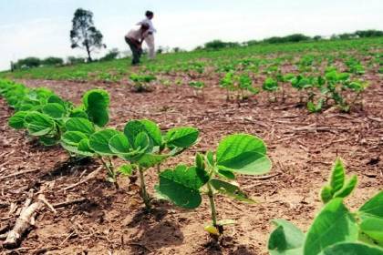Santa Cruz: Pequeños productores soyeros respaldan la ley que permite conversión de pequeña a media propiedad