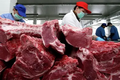 Tras apertura del mercado egipcio, Senasag señala que la carne boliviana apunta a Chile, Perú y Paraguay