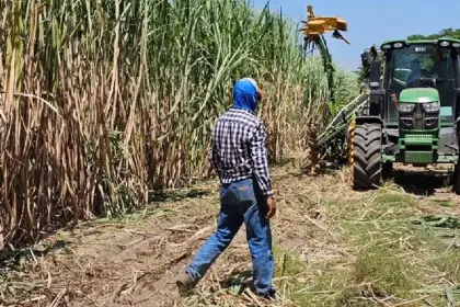 Cañeros exigen pago de más Bs 300 millones por la provisión de etanol y dan ultimátum