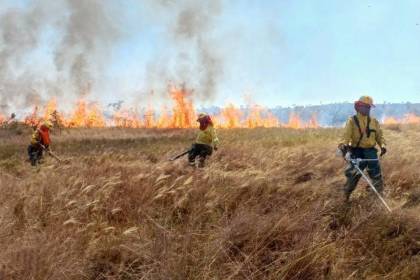 Reportan ocho incendios forestales en el país y combate del fuego en el Parque Noel Kempff se hace vía aérea 