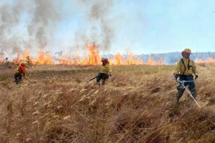 Tribunal Agroambiental ordena a instituciones del Estado coordinar medidas nacionales y subnacionales contra incendios forestales