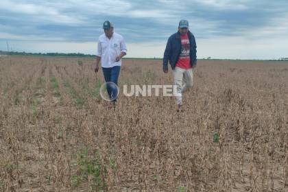 Hay 160.000 hectáreas de soya que aún no se cosecharon y que se pueden perder con la llegada de nuevas lluvias