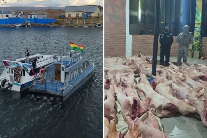 Hallan dos barcazas en el lago Titicaca cargadas con casi 200 cerdos de contrabando