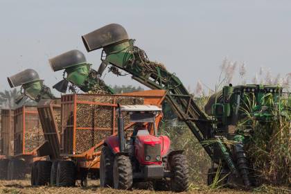 Pese a la crisis y a factores climáticos, Santa Cruz es la región que más aporta a la economía de Bolivia