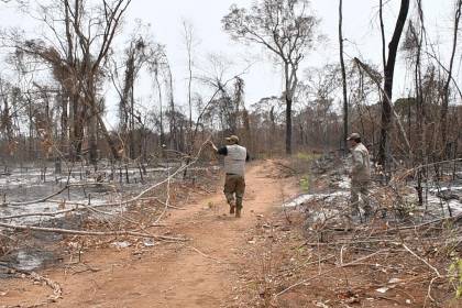 Activan seis procesos administrativos contra “supuestas comunidades” por desmonte en el Bajo Paraguá 