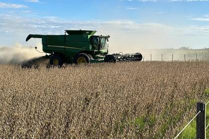 Productores de oleaginosas y trigo reportan pérdidas de $us 80 millones por los bloqueos