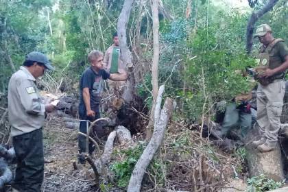 Siete personas fueron aprehendidas por tala ilegal en el área protegida del Parque nacional Otuquis