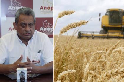 “Desabastecimiento total de diésel”: Anapo alerta riesgo de pérdida 2,5 millones de toneladas de granos estratégicos