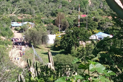 ¿Qué relevancia tiene la planta de Oconi tomada por campesinos en los valles cruceños?