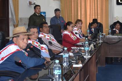 Chuquisaca y Potosí incrementarán el número de asambleístas con las subnacionales