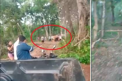 Denuncian nuevo caso de avasallamiento en una propiedad ganadera de Urubichá
