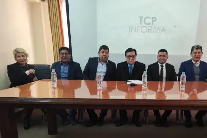 Presidente del TCP: “Este tribunal va a garantizar el calendario que viene realizando el Órgano Electoral”