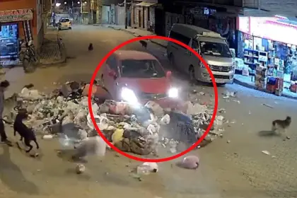 Imágenes sensibles: Mujer que recolectaba basura junto a sus mascotas fue arrollada por un vehículo
