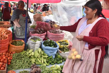 Inflación en Bolivia alcanzó el 1,31% en el mes de enero, según el INE