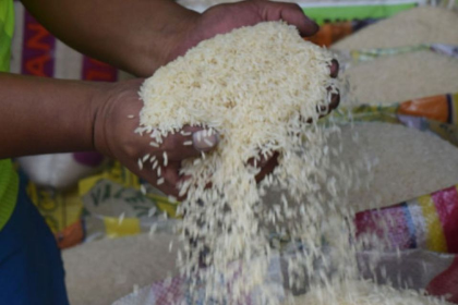 Productores piden reunión al Gobierno ante “creciente ingreso ilegal de arroz al mercado nacional” 