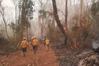 Gobierno dice que no se legalizará asentamientos en zonas afectadas por incendios