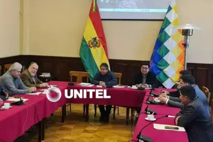 Choquehuanca convoca para este martes a las tres fuerzas políticas para tratar el crédito de JICA y otros préstamos, dice diputado 