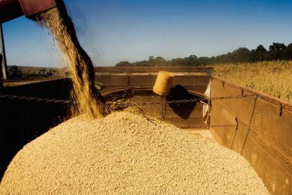 Exportaciones de soya y sus derivados caen más de $us 670 millones al mes de noviembre, según el INE