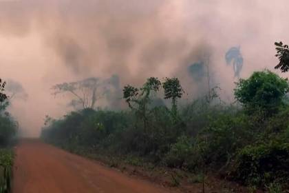 Incendios ponen en riesgo al ganado bovino y también hay afectación a cultivos, según productores cruceños