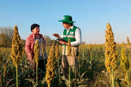 INE abre postulaciones para contratar personal para el Censo Agropecuario