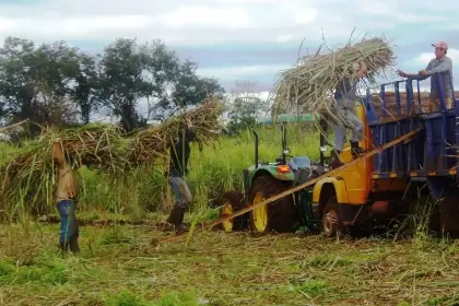 El Gobierno activa un perdonazo tributario, libera las exportaciones y anula el “certificado de abastecimiento”