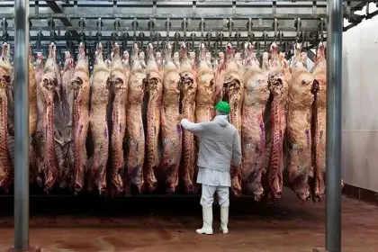 Agropecuarios destacan la apertura del mercado egipcio y señalan que otros países también demandan la carne boliviana