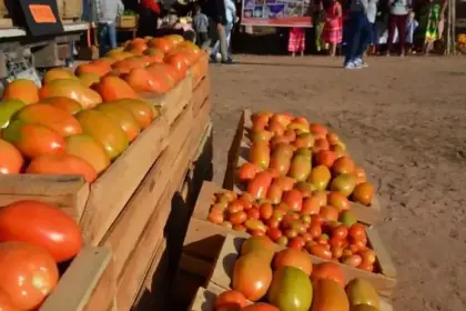 “Regalaré mis productos, no me queda otra”: Productores denuncian ‘asfixia’ por bloqueos
