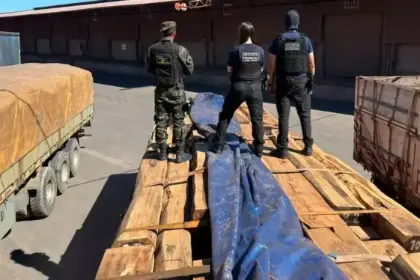 ¿Cómo fue impregnada la droga en madera incautada en Brasil? Una investigación brinda detalles