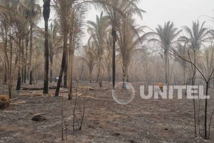 Incendios alcanzan a cinco departamentos y son casi 4 millones de hectáreas afectadas por el fuego