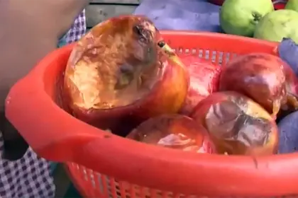 “La fruta llega podrida”, dice vendedora y reclama por la falta de combustible para transporte