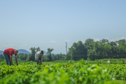 Abrogación de Ley 1720 afectará a pequeños productores y campesinos, dice Federación de Empresarios cruceños